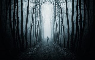 walk through forest towards light